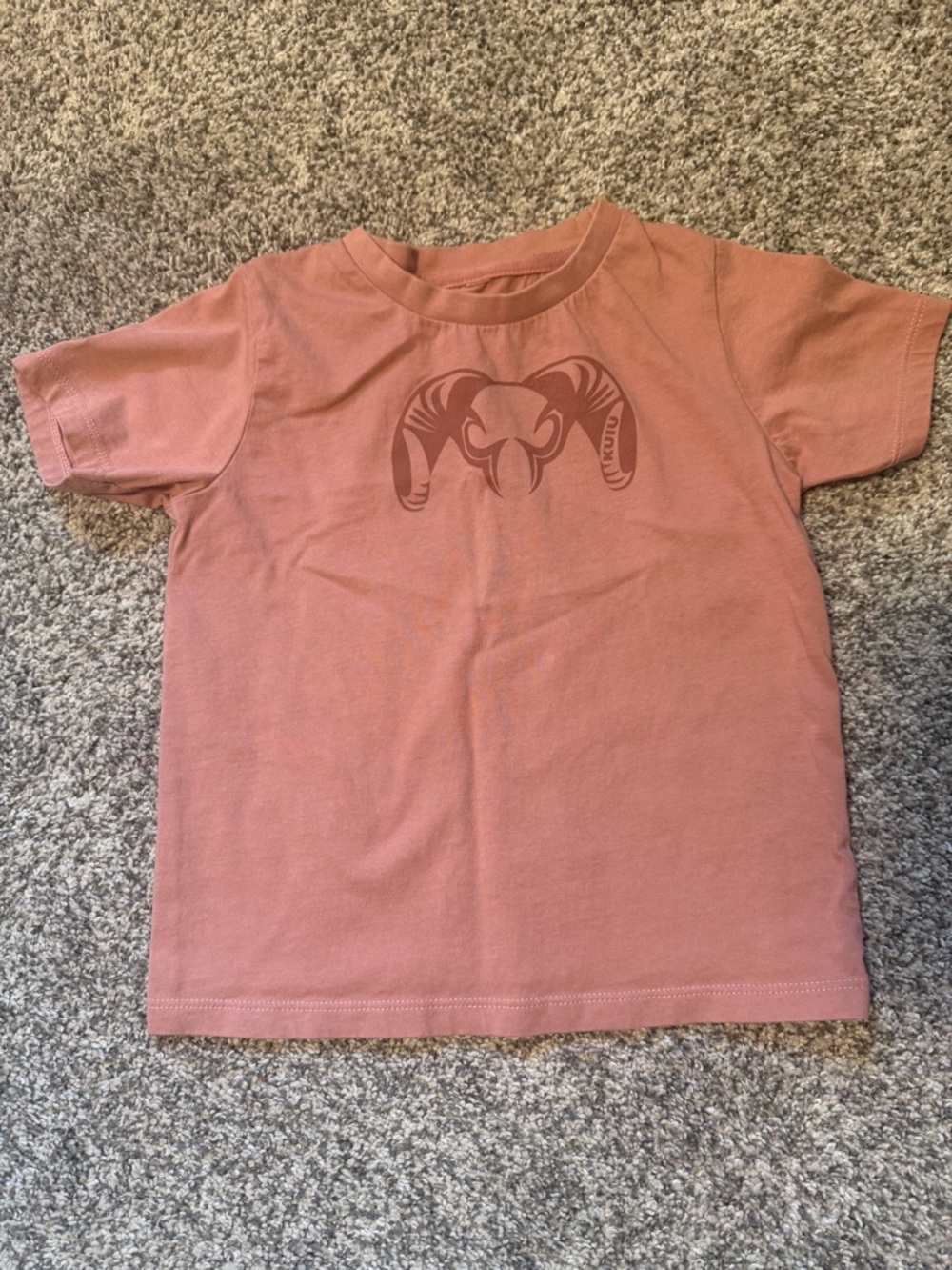Kids Short Sleeve Tee in Dusty Rose with Ram Graphic